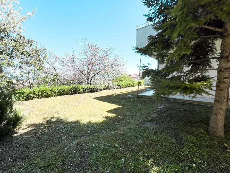 Immagine 4 di Appartamento in vendita  in VIa Mazzini 23 a Acquaviva Picena