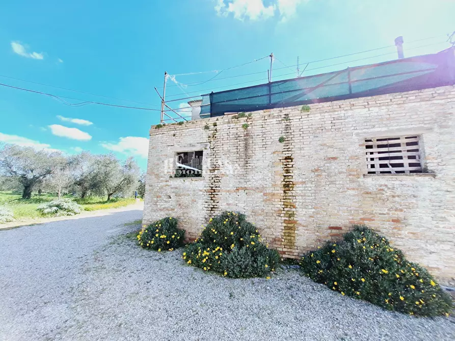 Immagine 7 di Rustico / casale in vendita  in contrada samt'egidio a Monsampolo Del Tronto