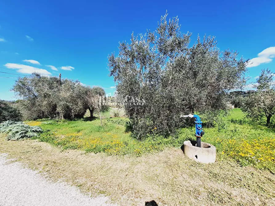 Immagine 11 di Rustico / casale in vendita  in contrada samt'egidio a Monsampolo Del Tronto