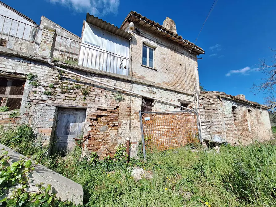 Immagine 13 di Rustico / casale in vendita  in contrada samt'egidio a Monsampolo Del Tronto