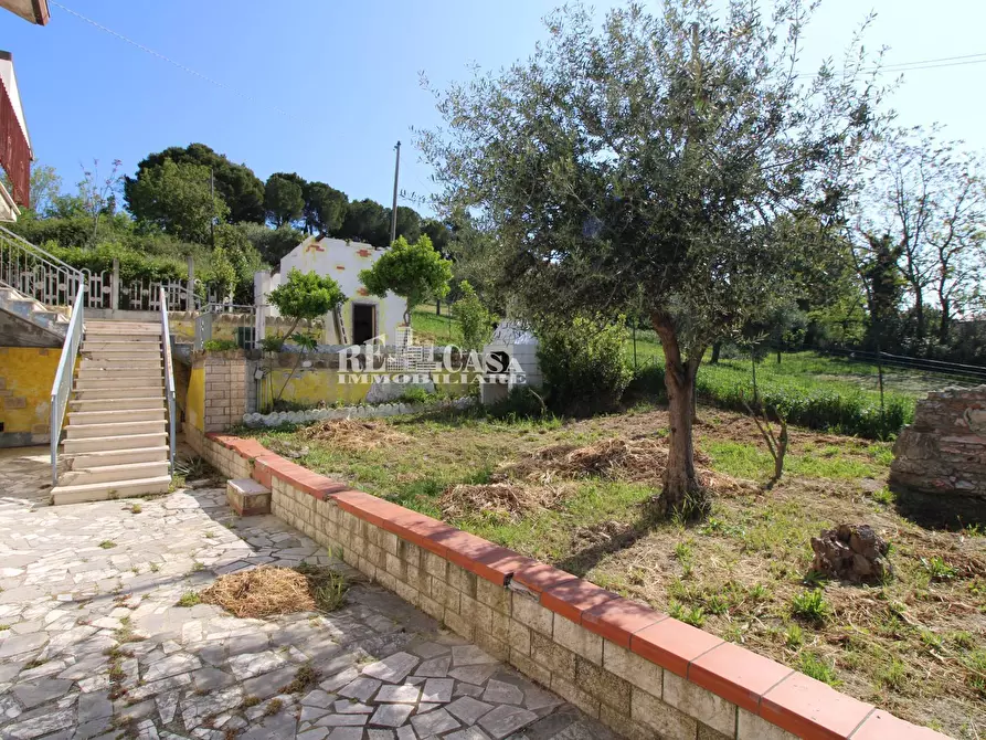 Immagine 9 di Casa indipendente in vendita  in via fonte ottone 5 a Colonnella