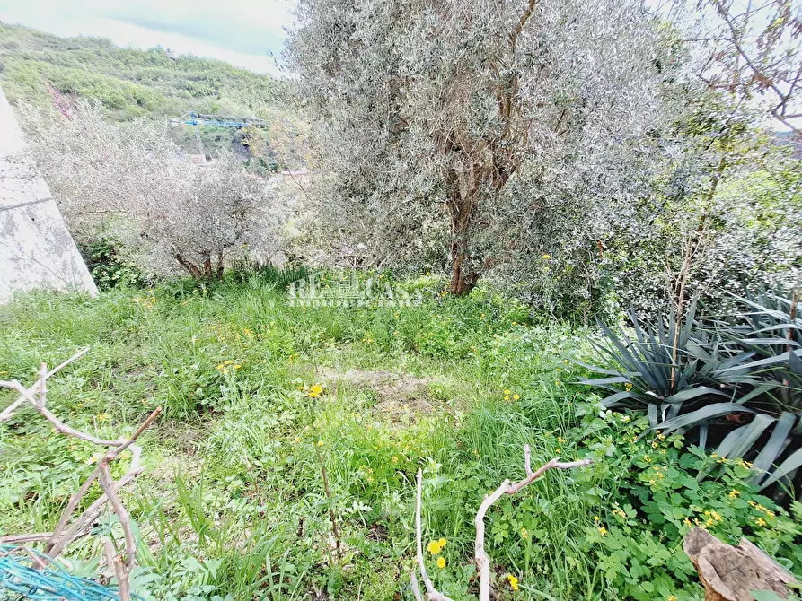 Immagine 36 di Appartamento in vendita  in via carpignana a Ascoli Piceno