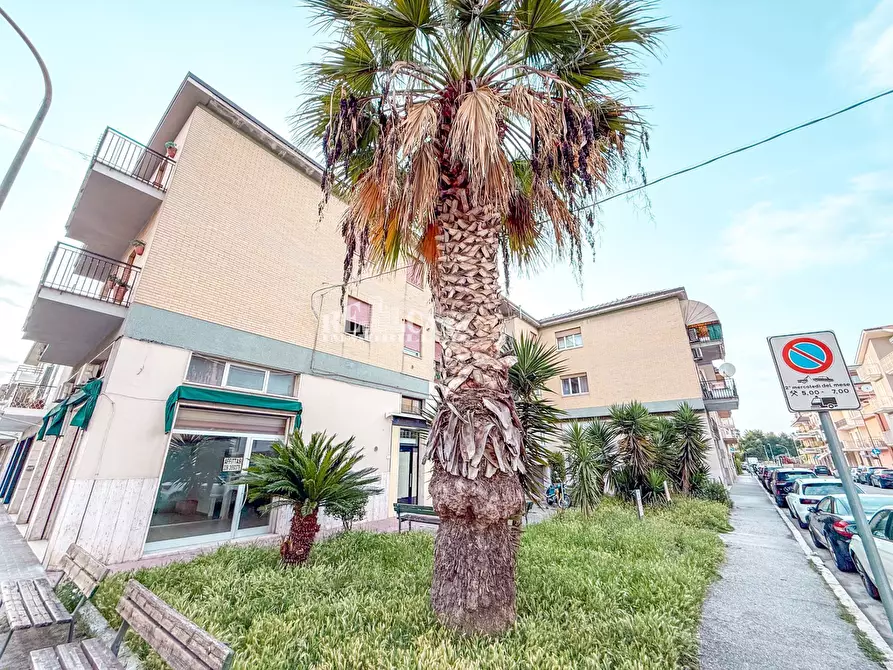 Immagine 35 di Appartamento in vendita  in Via Musone 3 a San Benedetto Del Tronto