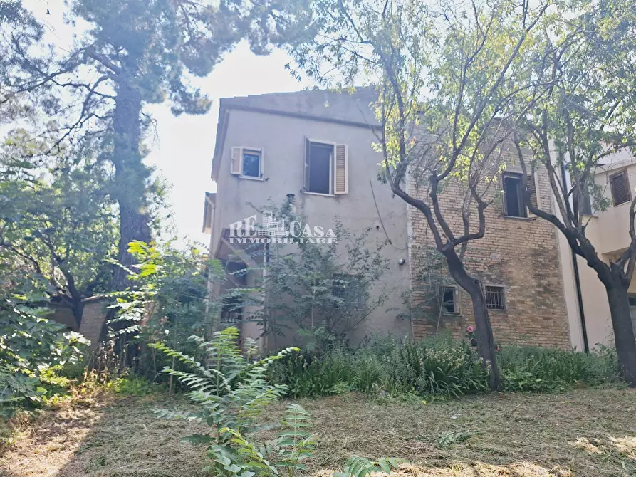 Immagine 3 di Casa indipendente in vendita  in contrada lava 236 a Offida