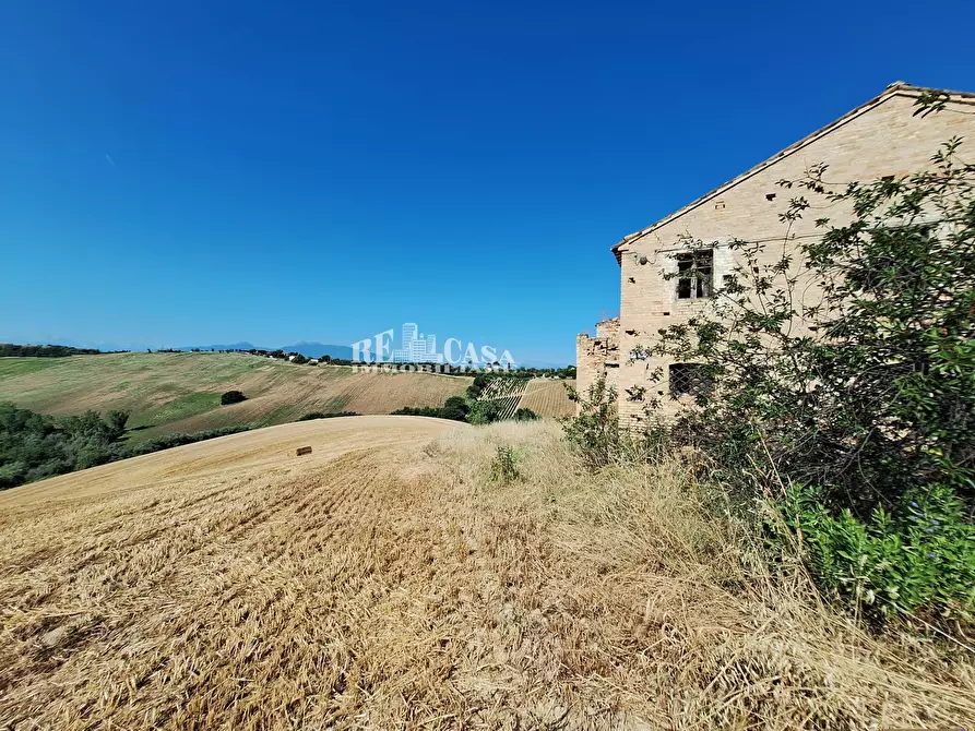 Immagine 9 di Rustico / casale in vendita  in contrada cavaceppo snc a Acquaviva Picena