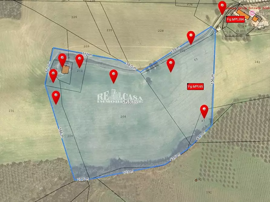 Immagine 11 di Rustico / casale in vendita  in contrada cavaceppo snc a Acquaviva Picena