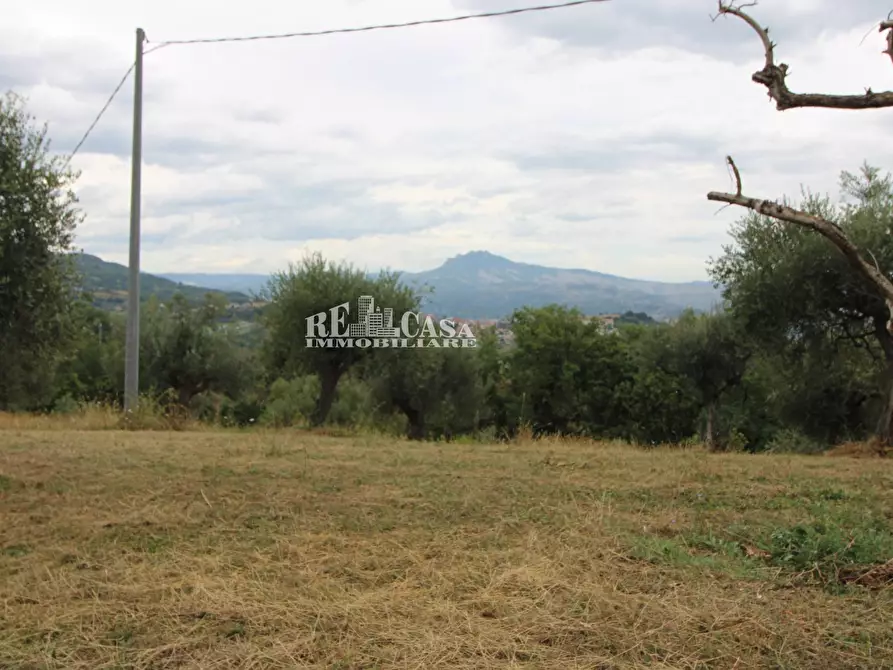 Immagine 2 di Rustico / casale in vendita  in Zona Galluccio a Folignano