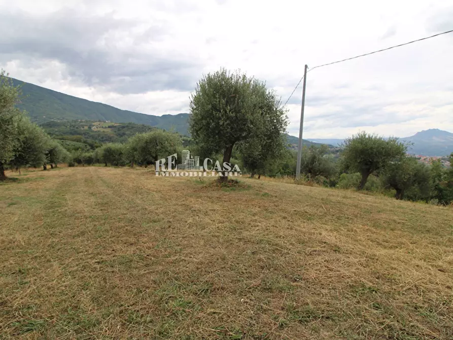 Immagine 3 di Rustico / casale in vendita  in Zona Galluccio a Folignano
