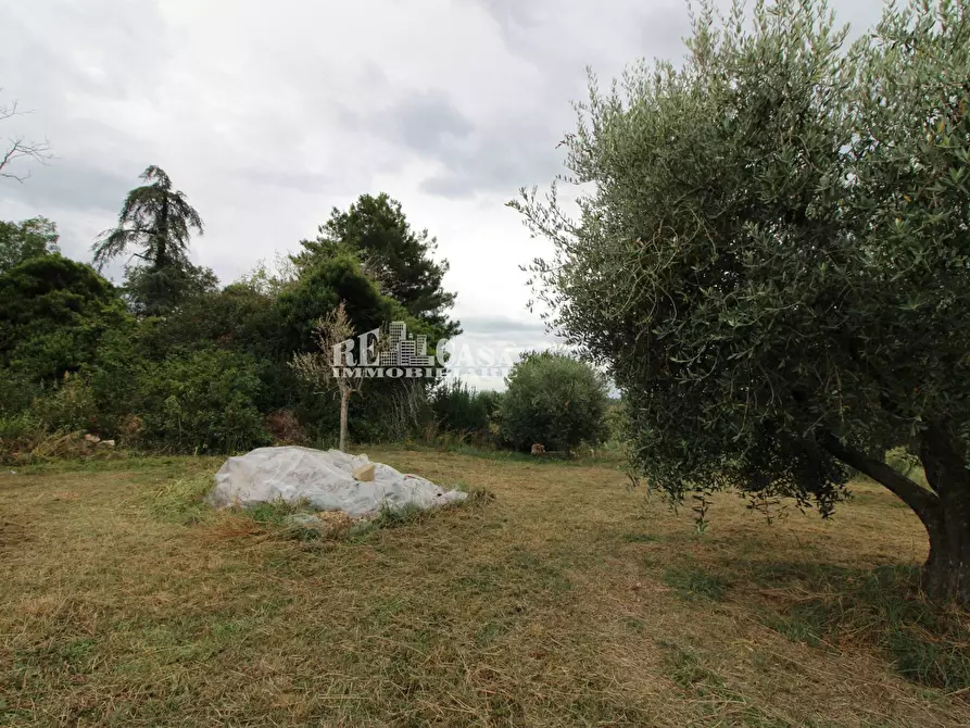Immagine 4 di Rustico / casale in vendita  in Zona Galluccio a Folignano