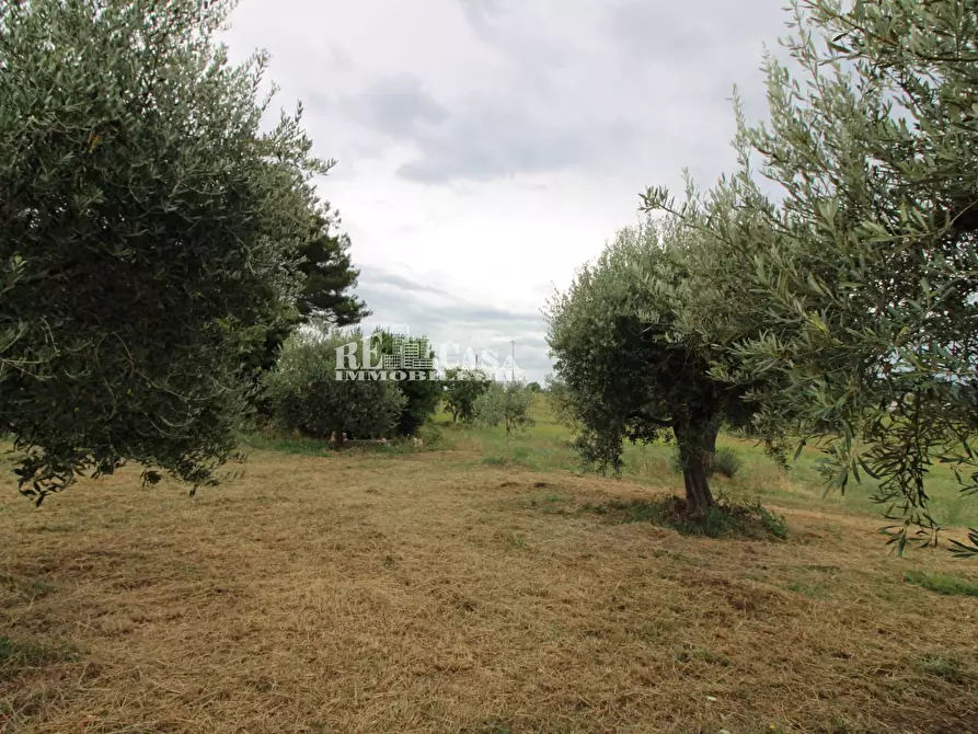 Immagine 5 di Rustico / casale in vendita  in Zona Galluccio a Folignano