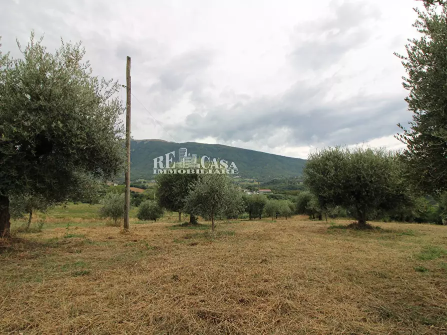 Immagine 7 di Rustico / casale in vendita  in Zona Galluccio a Folignano