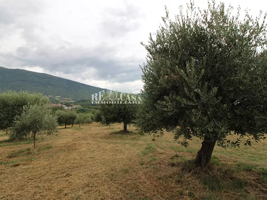 Immagine 8 di Rustico / casale in vendita  in Zona Galluccio a Folignano