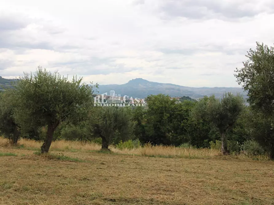 Immagine 9 di Rustico / casale in vendita  in Zona Galluccio a Folignano