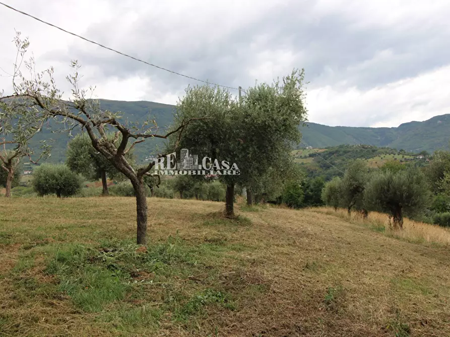 Immagine 10 di Rustico / casale in vendita  in Zona Galluccio a Folignano