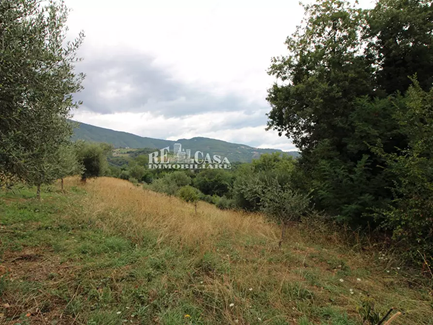 Immagine 11 di Rustico / casale in vendita  in Zona Galluccio a Folignano