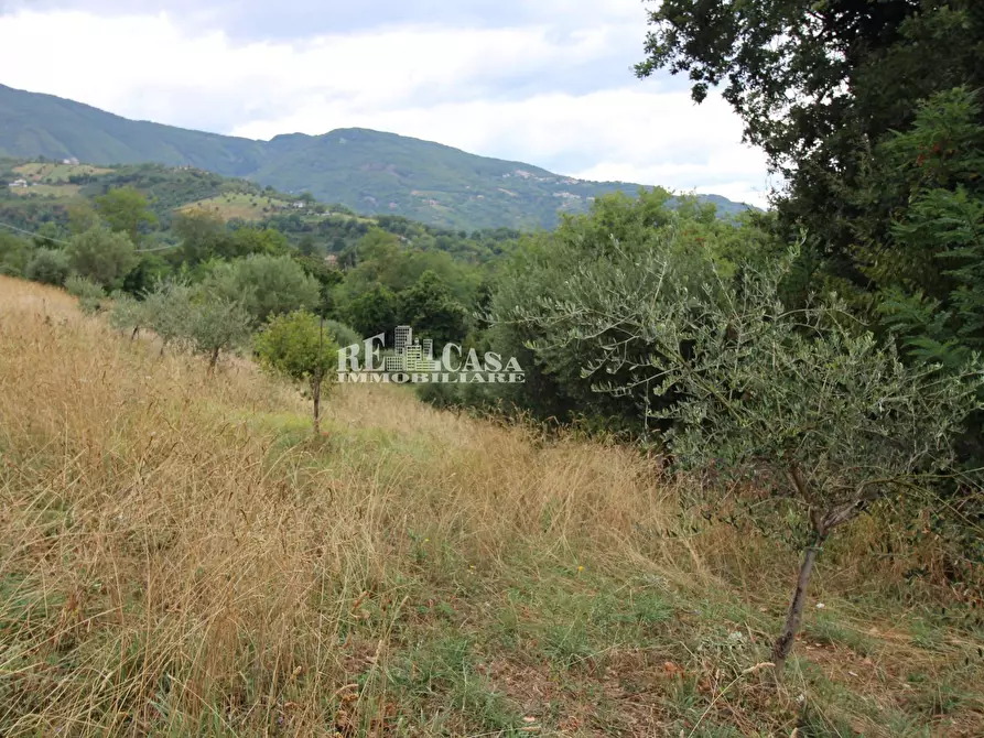 Immagine 12 di Rustico / casale in vendita  in Zona Galluccio a Folignano