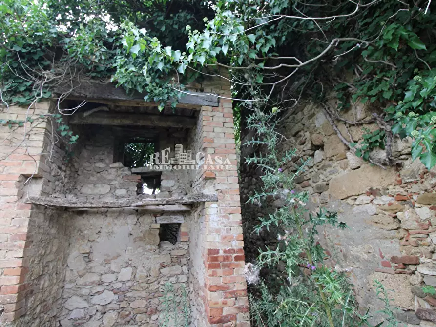 Immagine 17 di Rustico / casale in vendita  in Zona Galluccio a Folignano