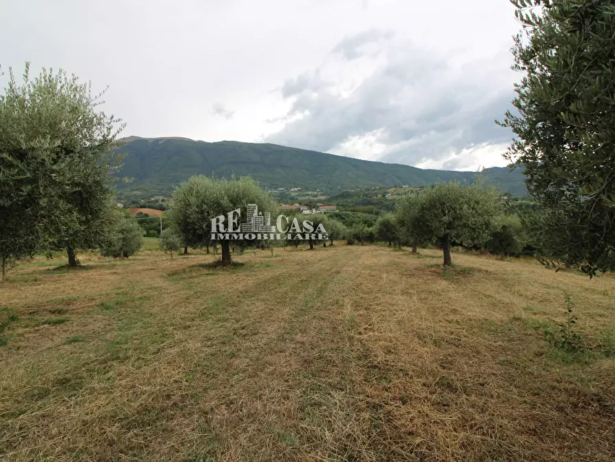 Immagine 18 di Rustico / casale in vendita  in Zona Galluccio a Folignano