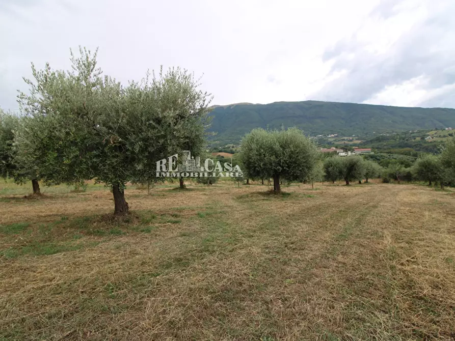Immagine 19 di Rustico / casale in vendita  in Zona Galluccio a Folignano