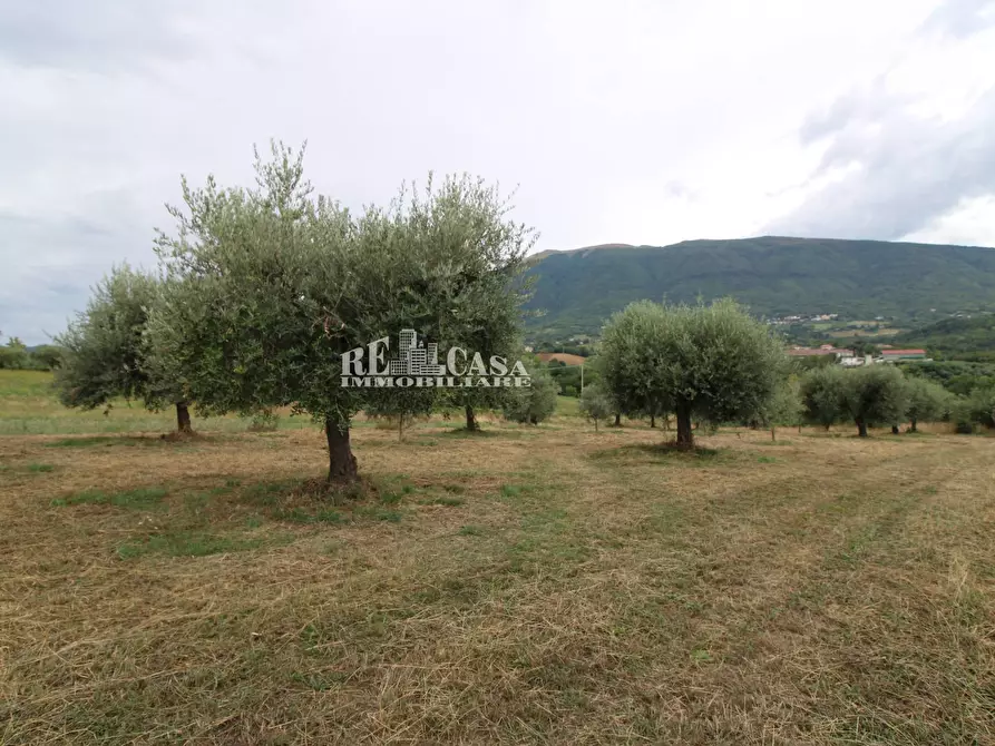 Immagine 20 di Rustico / casale in vendita  in Zona Galluccio a Folignano