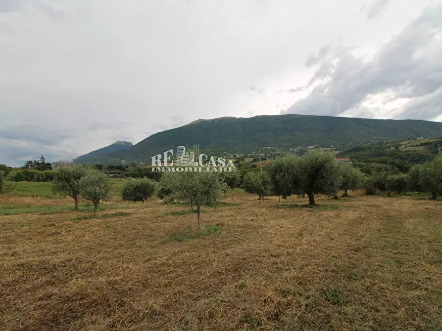 Immagine 21 di Rustico / casale in vendita  in Zona Galluccio a Folignano