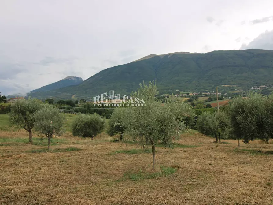 Immagine 22 di Rustico / casale in vendita  in Zona Galluccio a Folignano