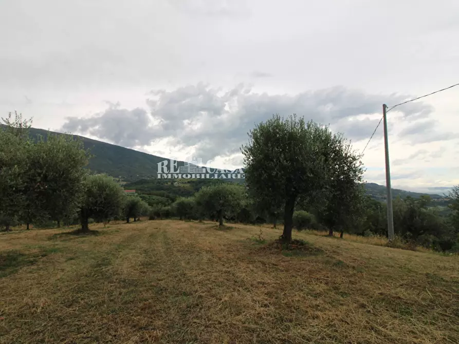 Immagine 25 di Rustico / casale in vendita  in Zona Galluccio a Folignano