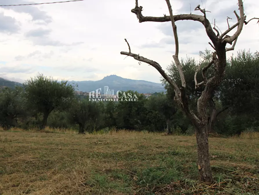 Immagine 6 di Rustico / casale in vendita  in Zona Galluccio a Folignano