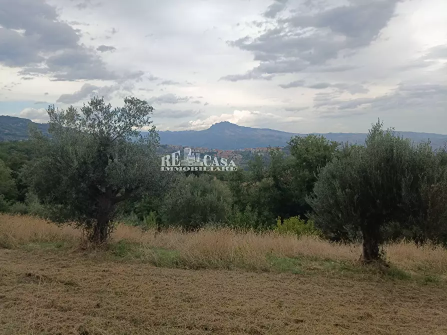 Immagine 27 di Rustico / casale in vendita  in Zona Galluccio a Folignano