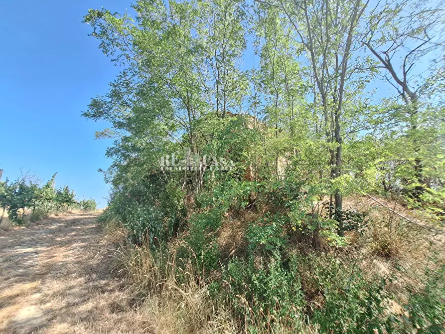 Immagine 5 di Rustico / casale in vendita  in contrada collenavicchio a Acquaviva Picena