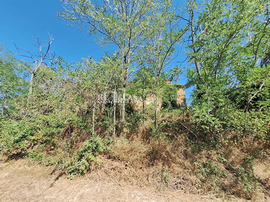 Immagine 6 di Rustico / casale in vendita  in contrada collenavicchio a Acquaviva Picena