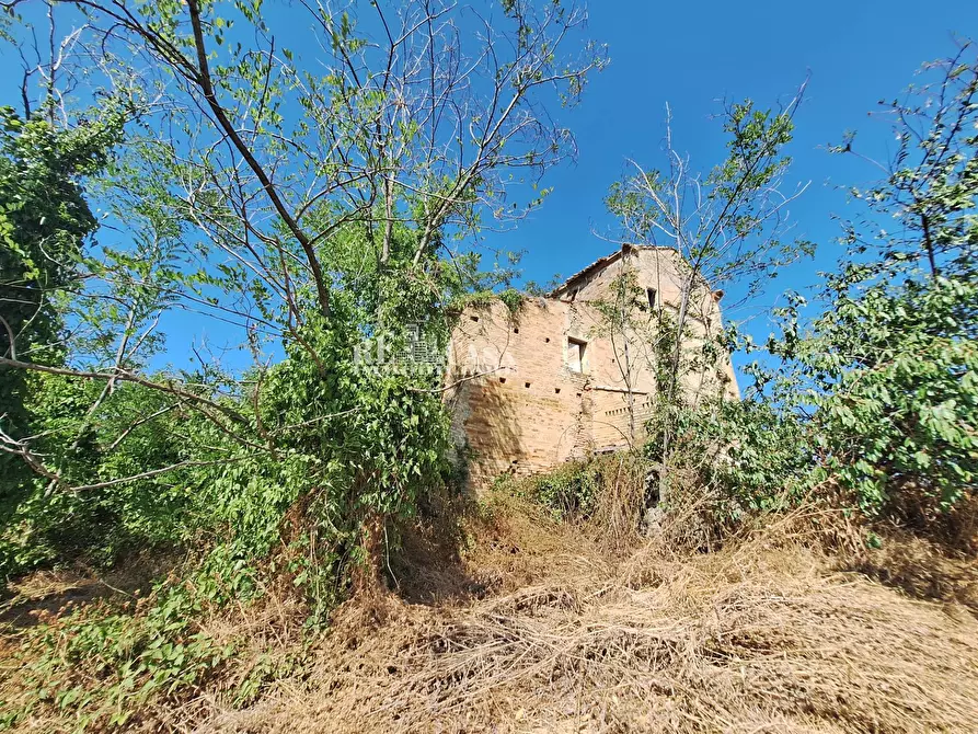 Immagine 7 di Rustico / casale in vendita  in contrada collenavicchio a Acquaviva Picena