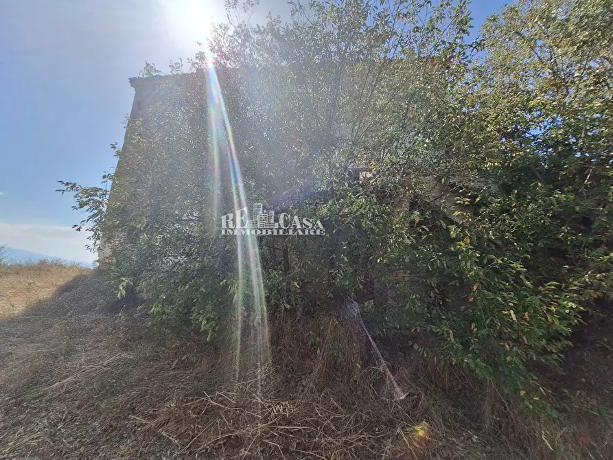 Immagine 10 di Rustico / casale in vendita  in contrada collenavicchio a Acquaviva Picena