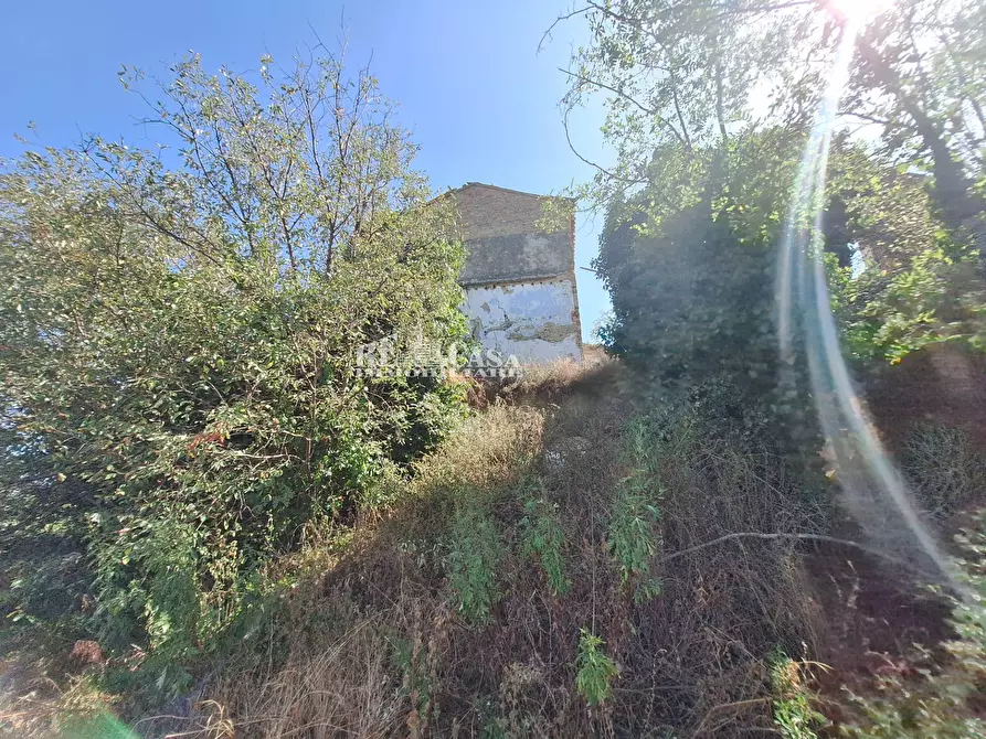 Immagine 11 di Rustico / casale in vendita  in contrada collenavicchio a Acquaviva Picena