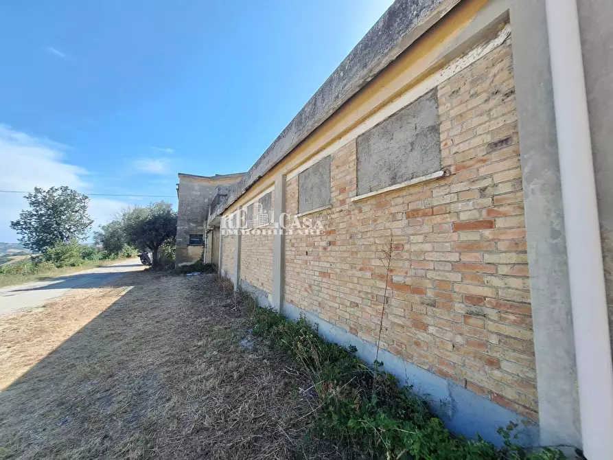 Immagine 3 di Rustico / casale in vendita  in contrada collenavicchio a Acquaviva Picena