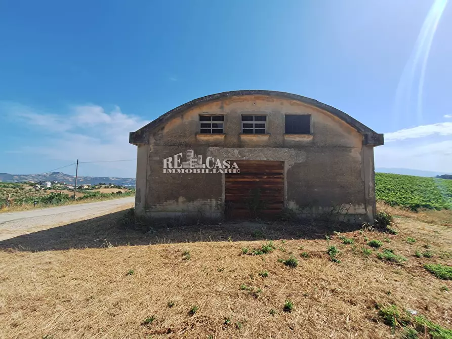 Immagine 5 di Rustico / casale in vendita  in contrada collenavicchio a Acquaviva Picena