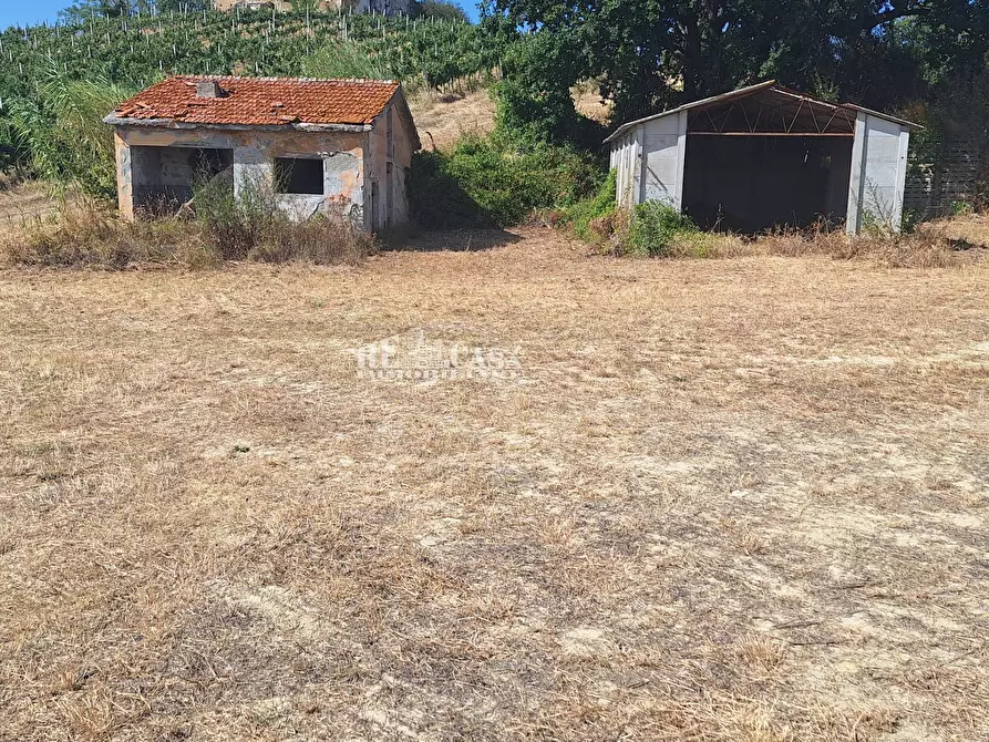 Immagine 6 di Rustico / casale in vendita  in contrada collenavicchio a Acquaviva Picena