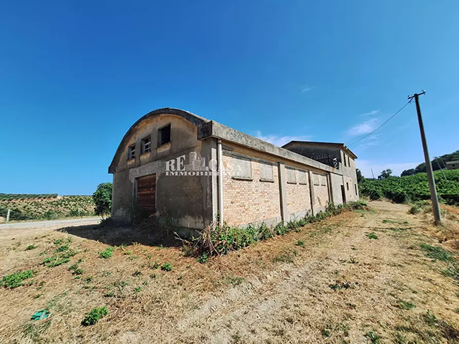 Immagine 7 di Rustico / casale in vendita  in contrada collenavicchio a Acquaviva Picena