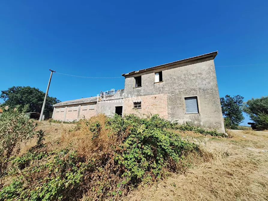 Immagine 8 di Rustico / casale in vendita  in contrada collenavicchio a Acquaviva Picena