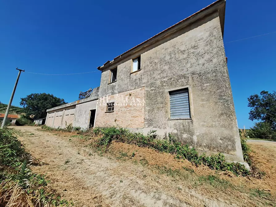 Immagine 9 di Rustico / casale in vendita  in contrada collenavicchio a Acquaviva Picena