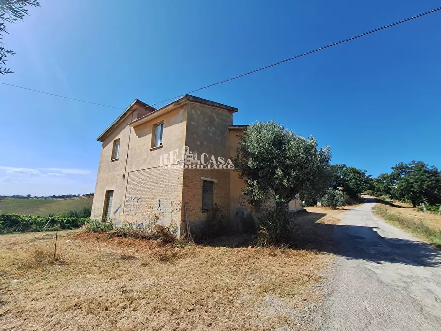 Immagine 12 di Rustico / casale in vendita  in contrada collenavicchio a Acquaviva Picena
