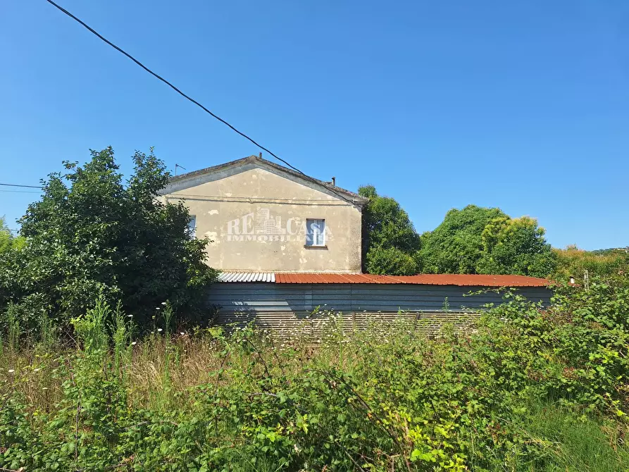 Immagine 5 di Casa indipendente in vendita  in via schiavoni a Spinetoli