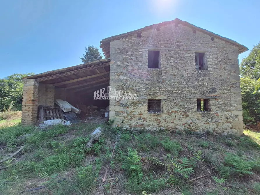 Immagine 2 di Rustico / casale in vendita  in contrada macigne snc a Monteprandone