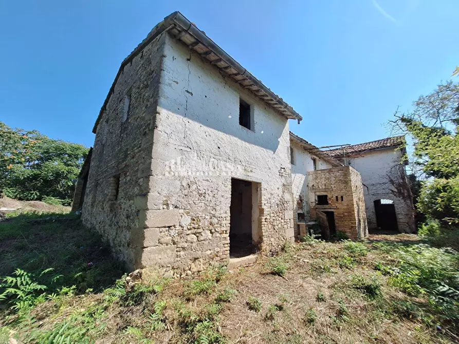 Immagine 3 di Rustico / casale in vendita  in contrada macigne snc a Monteprandone