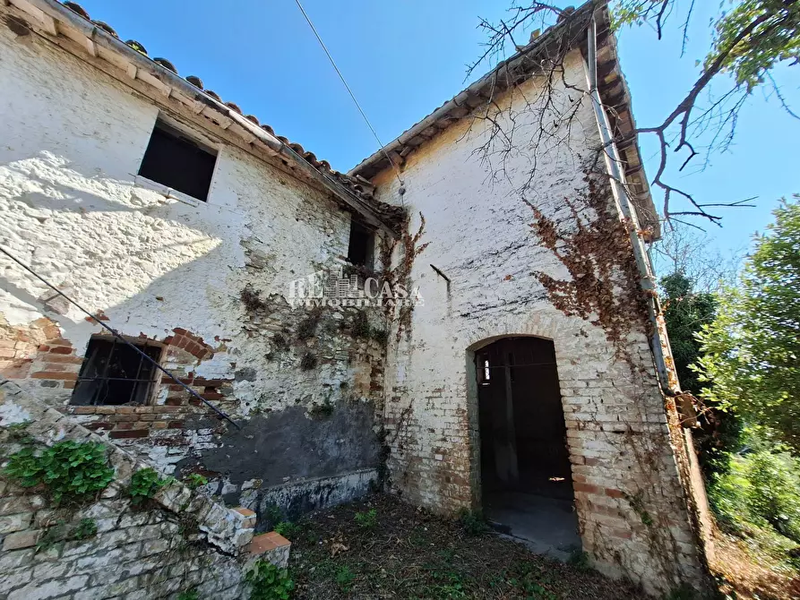 Immagine 4 di Rustico / casale in vendita  in contrada macigne snc a Monteprandone