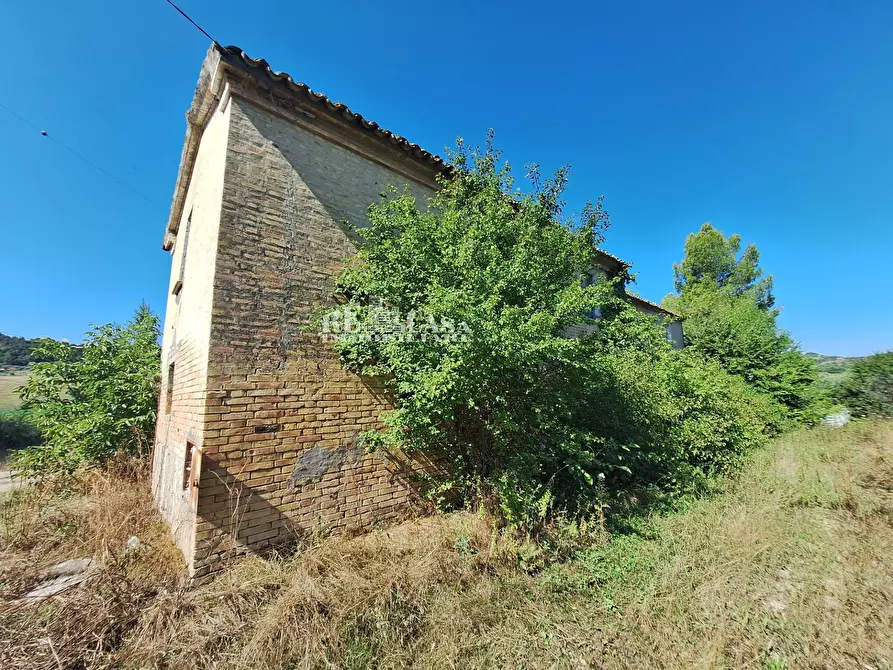 Immagine 8 di Rustico / casale in vendita  in contrada Collelungo a Monsampolo Del Tronto