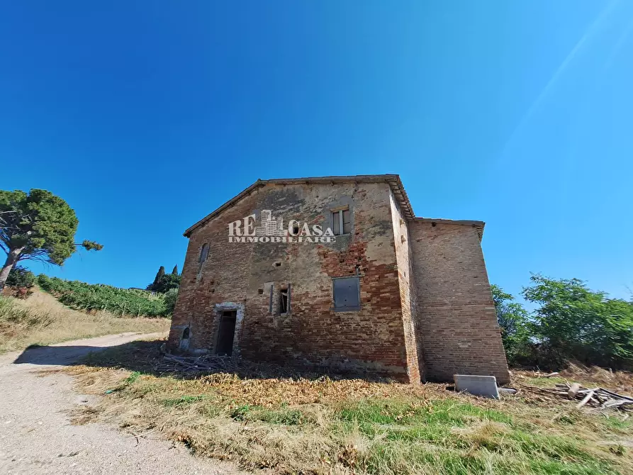 Immagine 3 di Rustico / casale in vendita  in via vecchia palazzi snc a Spinetoli