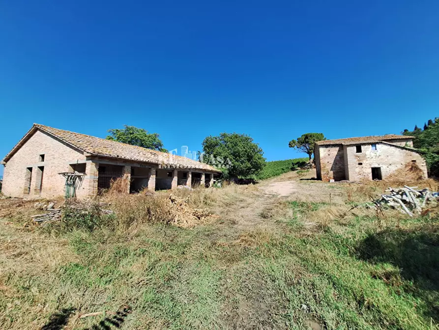 Immagine 7 di Rustico / casale in vendita  in via vecchia palazzi snc a Spinetoli