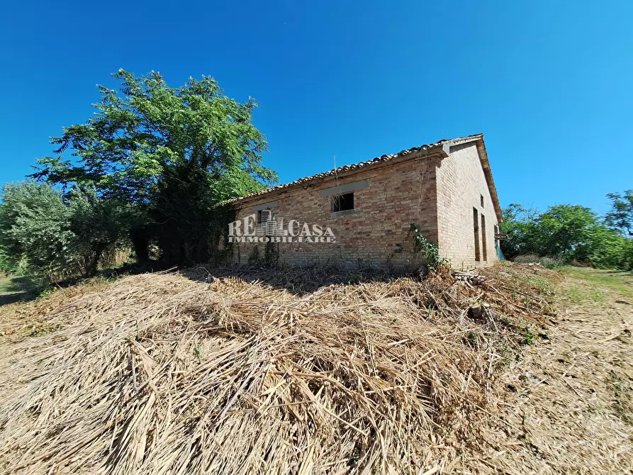 Immagine 8 di Rustico / casale in vendita  in via vecchia palazzi snc a Spinetoli