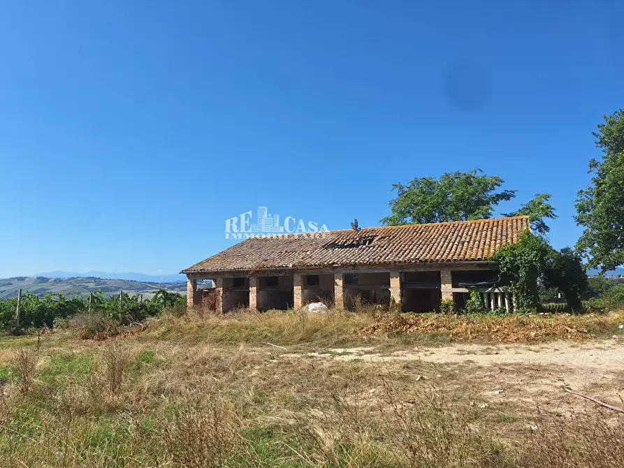 Immagine 9 di Rustico / casale in vendita  in via vecchia palazzi snc a Spinetoli